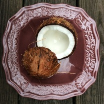 Cracking the coconut controversy